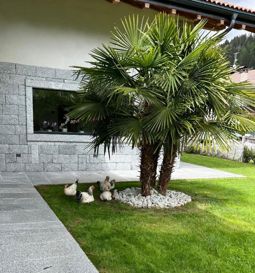 B&B Casa Il Sasso ปินโซโล ภายนอก รูปภาพ